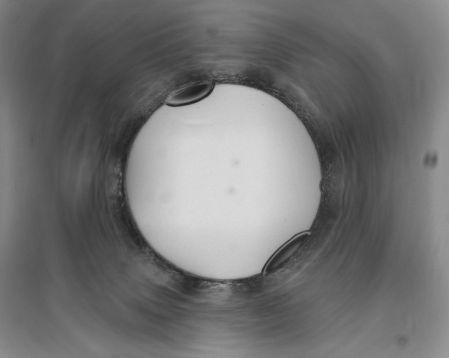 X0000096970083200802291132