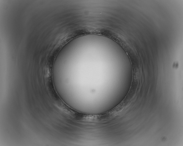 X0000096970084200802291132