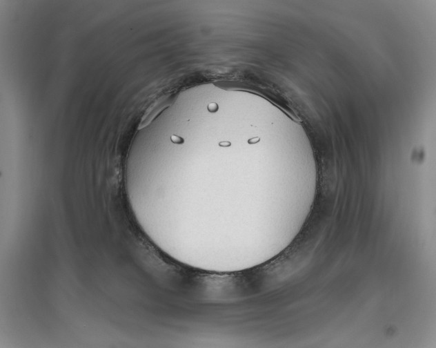 X0000096970085200802291132