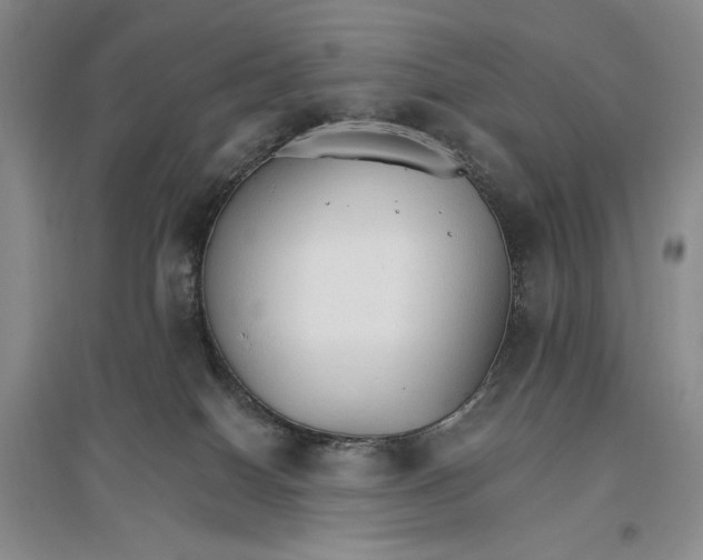 X0000096970086200802291132