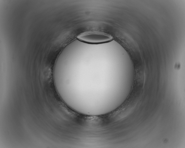 X0000096970087200802291132