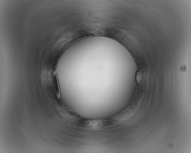 X0000096970088200802291132