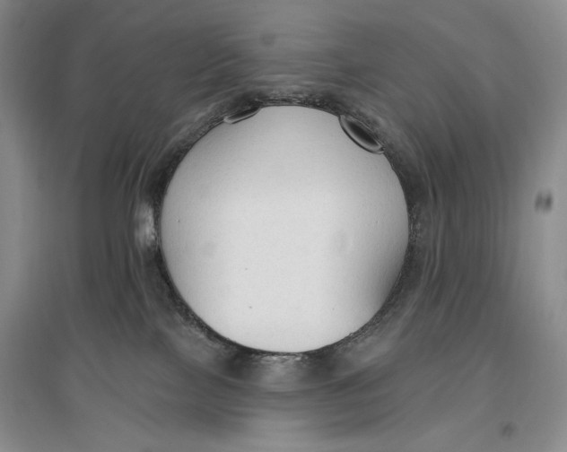 X0000096970089200802291132