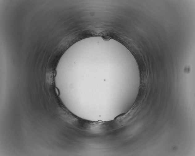 X0000096970090200802291132