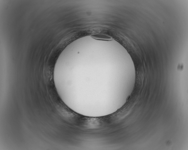 X0000096970091200802291132