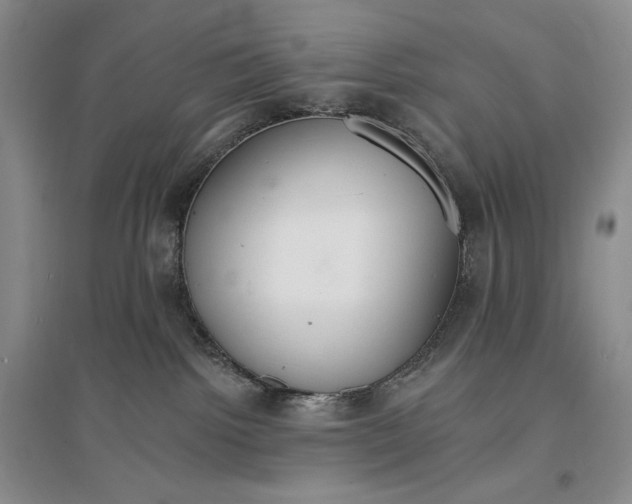 X0000096970092200802291132