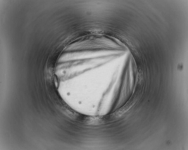 X0000096970093200802291132