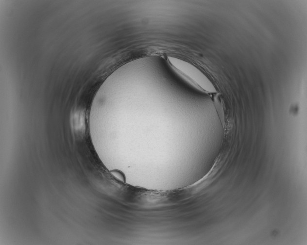 X0000096970094200802291132