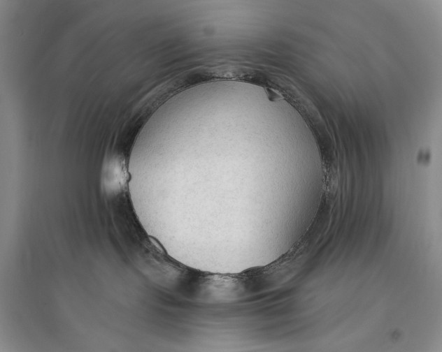 X0000096970095200802291132