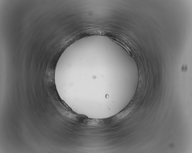 X0000096970096200802291132