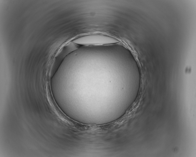 X0000096970097200802291131