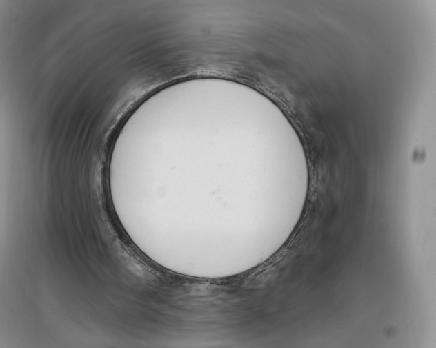 X0000096970098200802291131