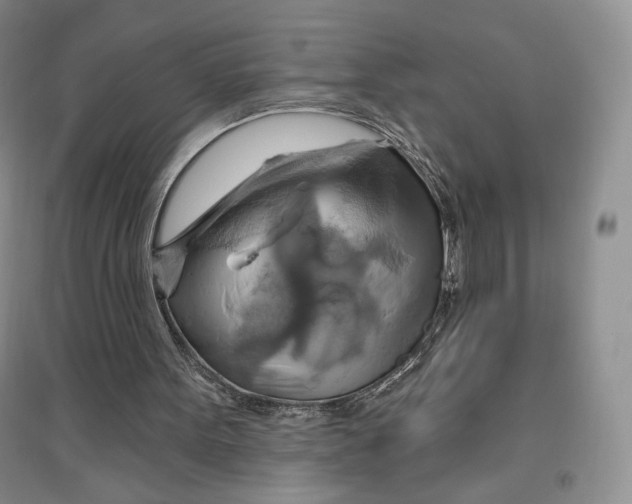 X0000096970099200802291131