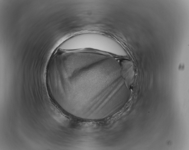 X0000096970100200802291131