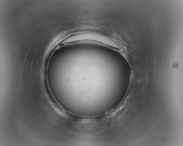 X0000096970101200802291131