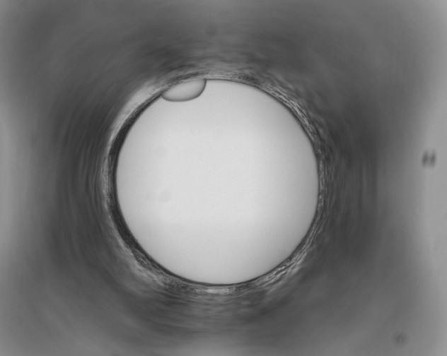 X0000096970102200802291131