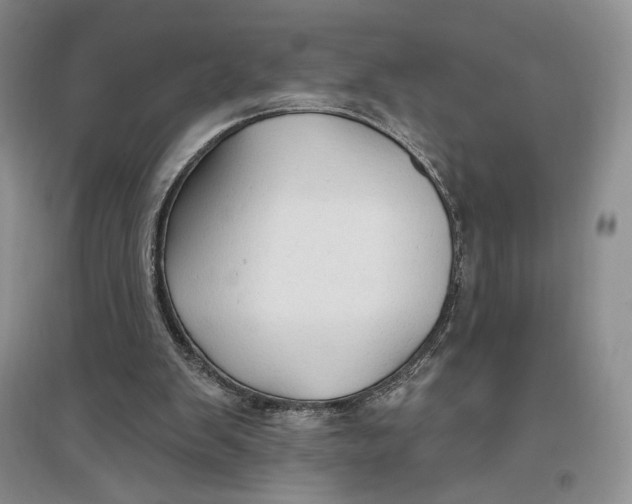 X0000096970103200802291131