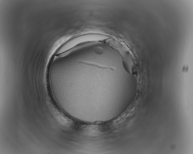 X0000096970104200802291131