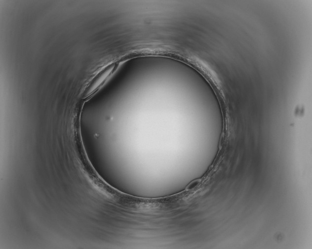 X0000096970105200802291131