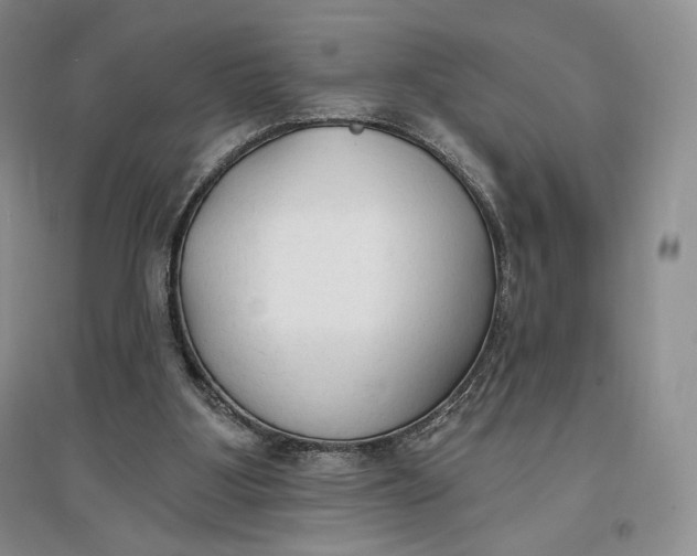 X0000096970107200802291131