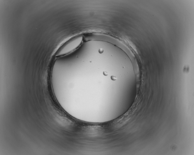 X0000096970108200802291131