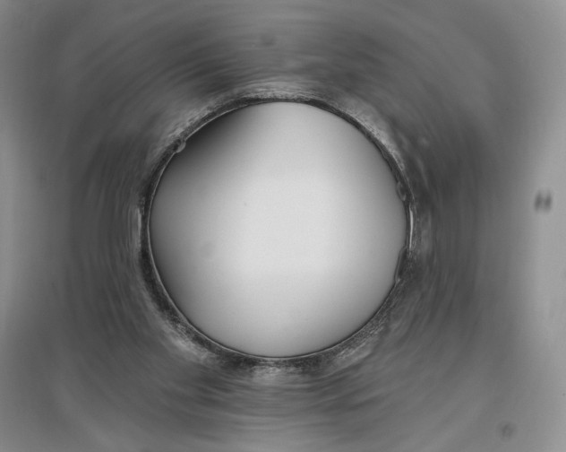 X0000096970109200802291131