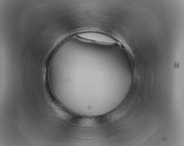 X0000096970110200802291131