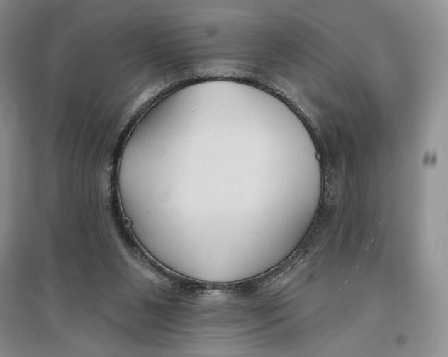 X0000096970111200802291131