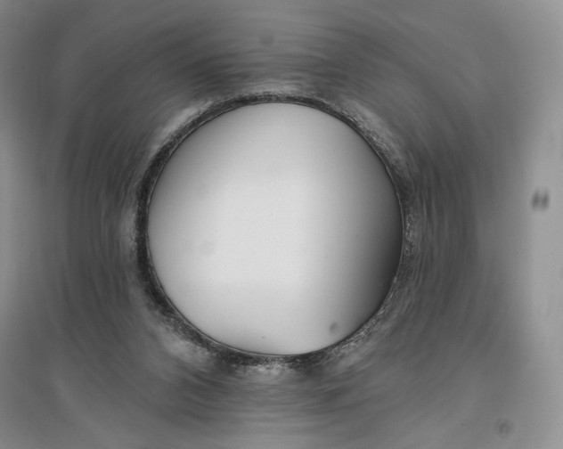 X0000096970112200802291131