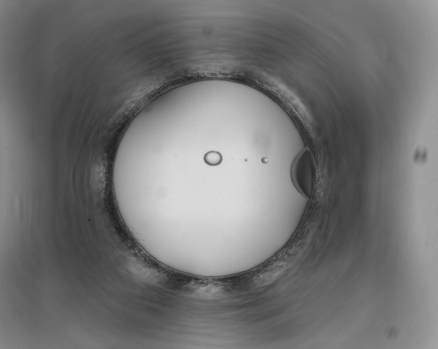 X0000096970113200802291131