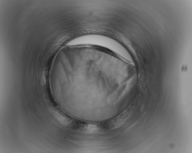 X0000096970114200802291131