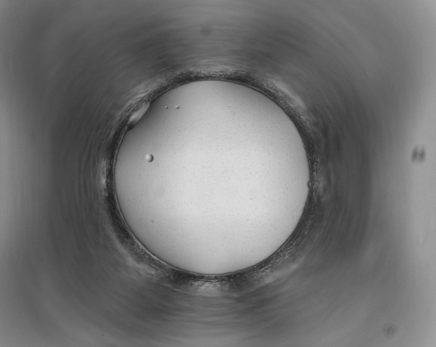 X0000096970115200802291131