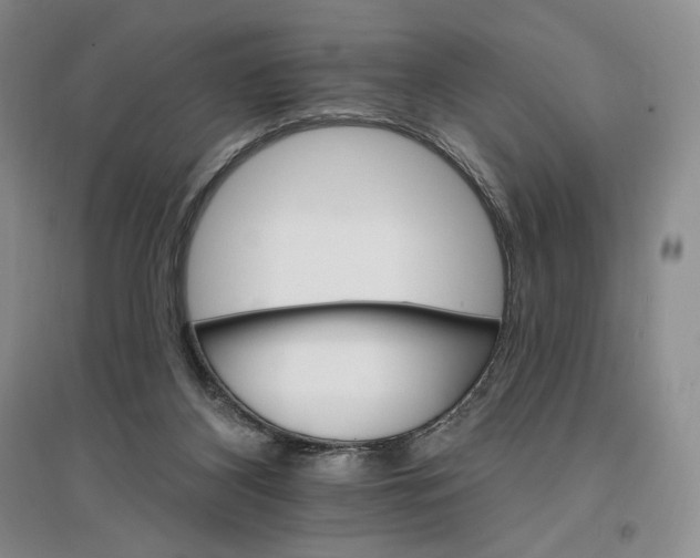 X0000096970116200802291131