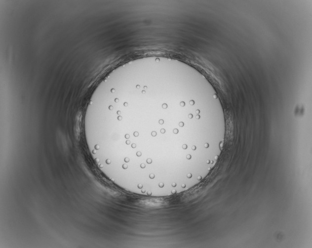 X0000096970118200802291131