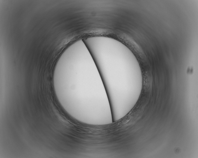 X0000096970119200802291131