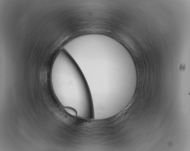 X0000096970120200802291131