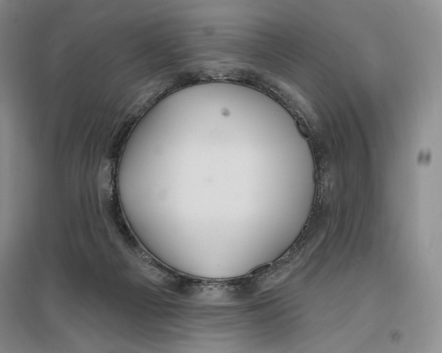 X0000096970121200802291131