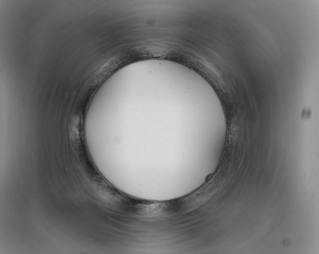 X0000096970122200802291131