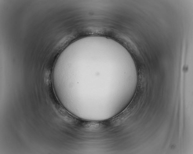 X0000096970123200802291131