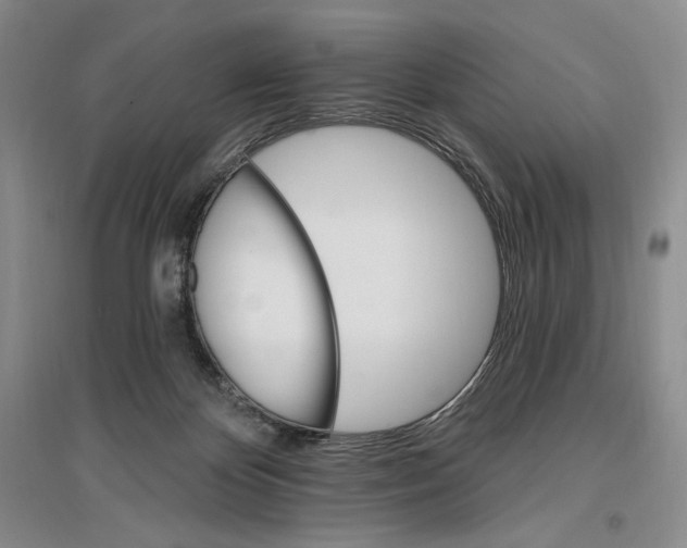 X0000096970124200802291131