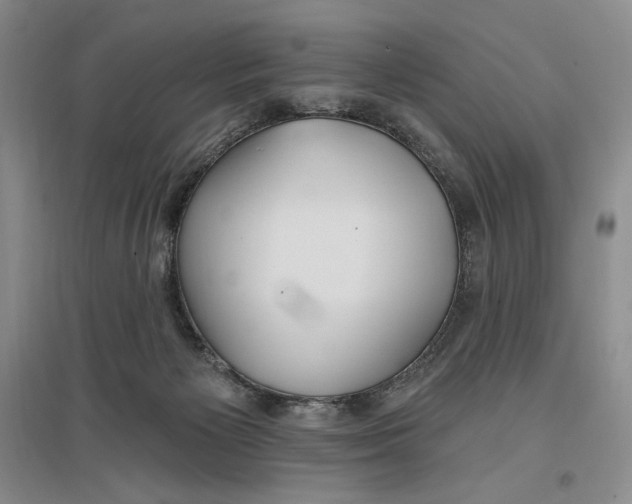 X0000096970125200802291131