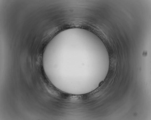 X0000096970126200802291131