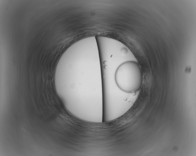 X0000096970127200802291131