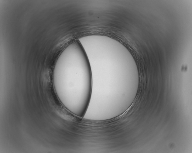 X0000096970128200802291131