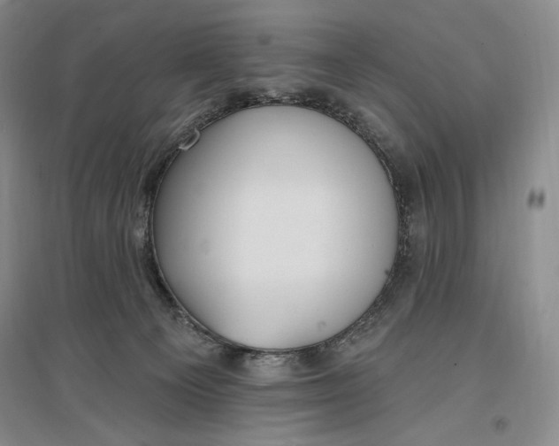 X0000096970129200802291131