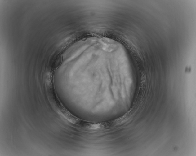 X0000096970130200802291131