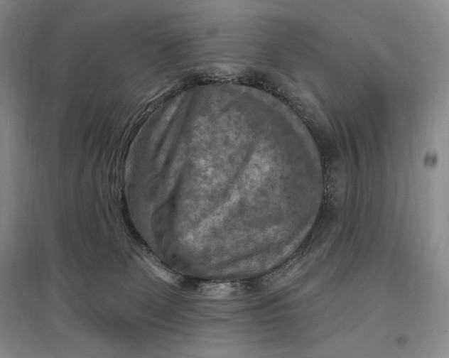 X0000096970131200802291131