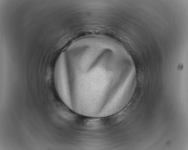 X0000096970132200802291131