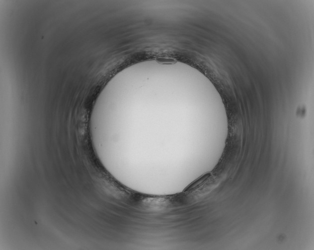 X0000096970133200802291131