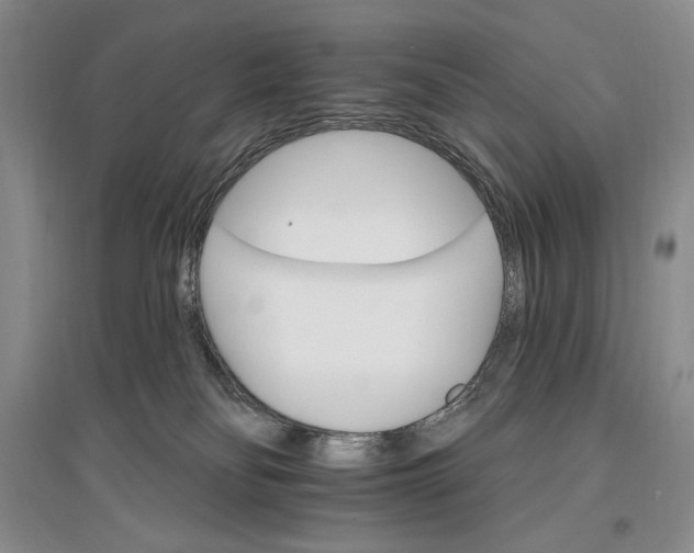 X0000096970134200802291131